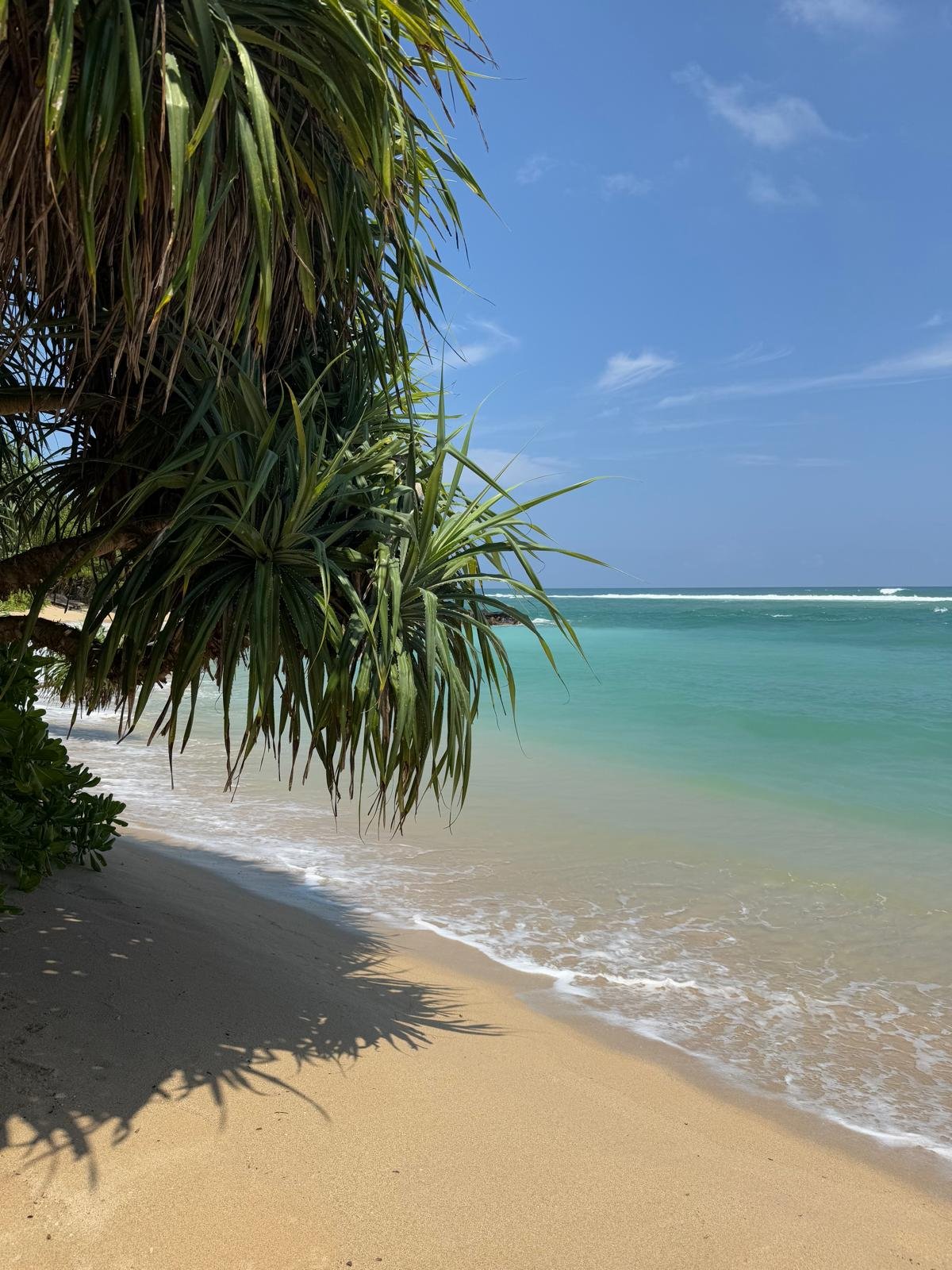 Ahangama Serene Tropical Beach View - Ko Lake Villa boutique lakefront accommodation on Koggala Lake Sri Lanka: Discover the peaceful sandy shore and turquoise waters of Ahangama, framed by lush tropical greenery under a clear blue sky.