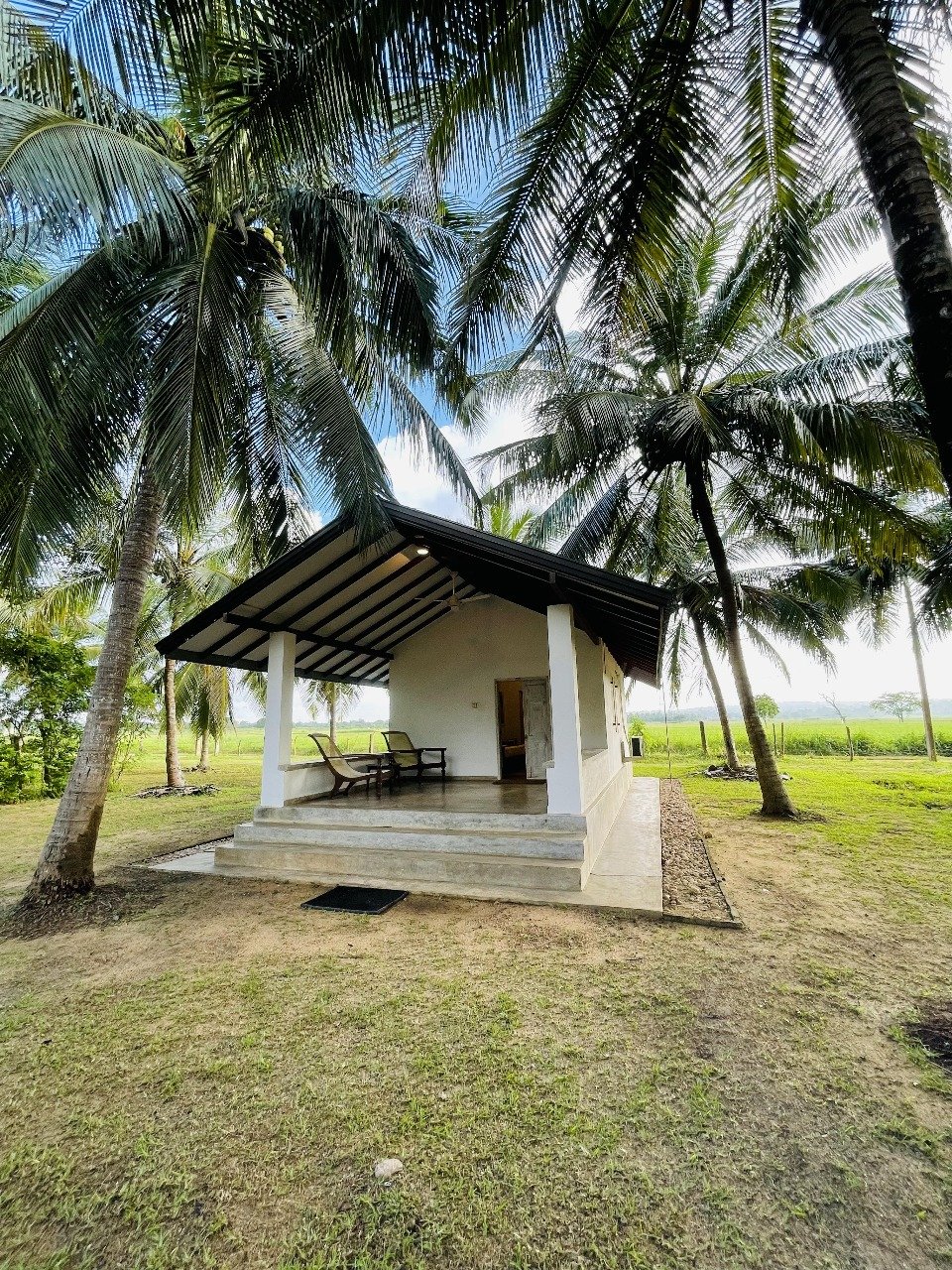 Wilpathu National Park Retreat: Palm Tree Cottage & Paddy Fields - Ko Lake Villa boutique lakefront accommodation on Koggala Lake Sri Lanka: Escape to this serene cottage nestled among swaying palm trees with a view of lush green paddy fields. Perfect for a tranquil vacation.