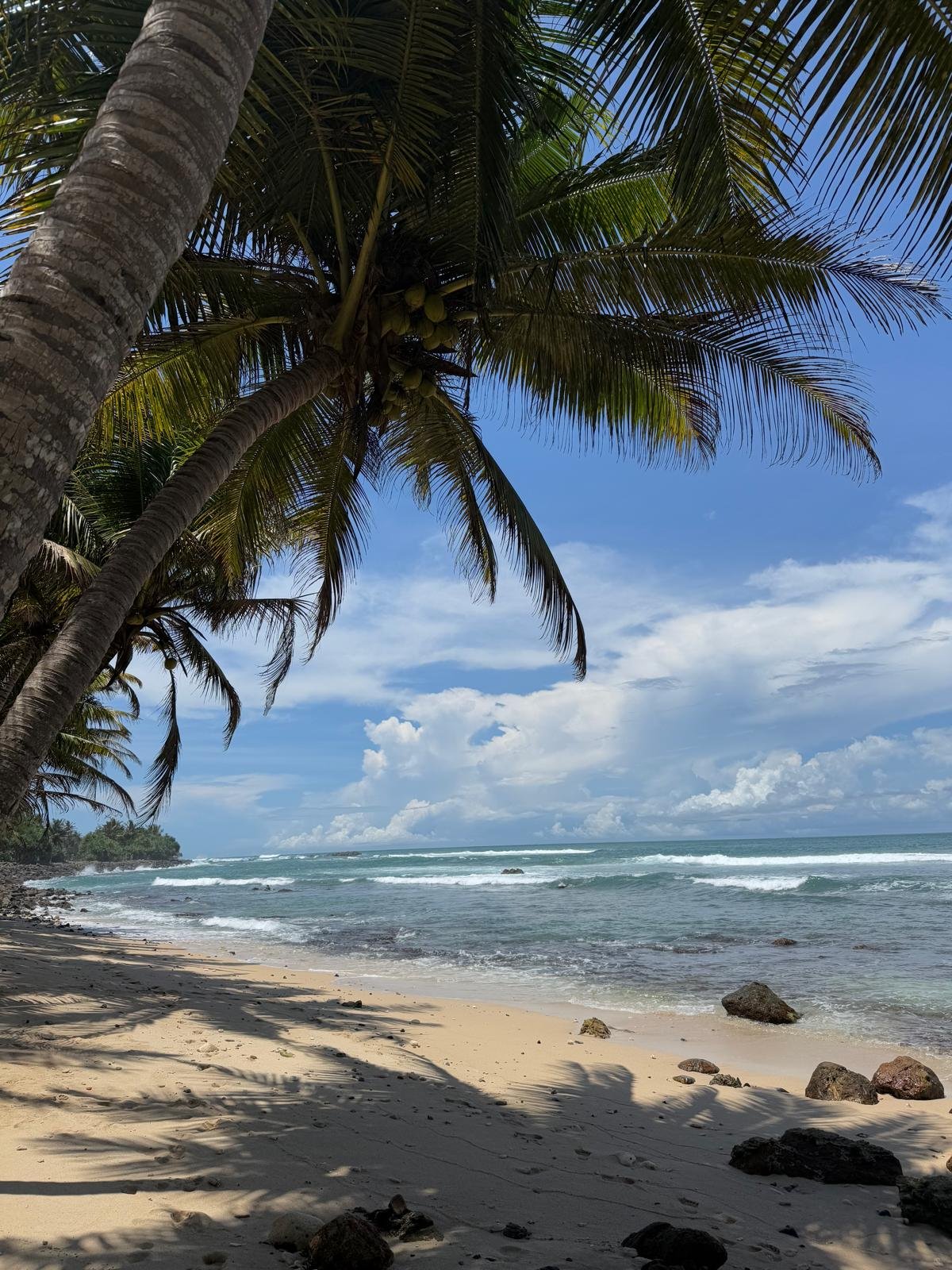 Ahangam : Tropical Beach Paradise: Palm Trees & Ocean Waves - Ko Lake Villa boutique lakefront accommodation on Koggala Lake Sri Lanka: Escape to a stunning tropical beach with golden sands, lush palm trees, and clear blue ocean waves under a vibrant sky. Perfect vacation getaway!