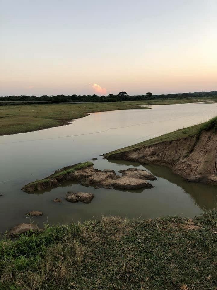 Willpathu: Serene River Landscape at Dusk - Nature's Beauty - Ko Lake Villa boutique lakefront accommodation on Koggala Lake Sri Lanka: Capture the tranquil beauty of a winding river at sunset, flowing through lush green banks.
Perfect Safari hours away for nature lovers and landscape photography.