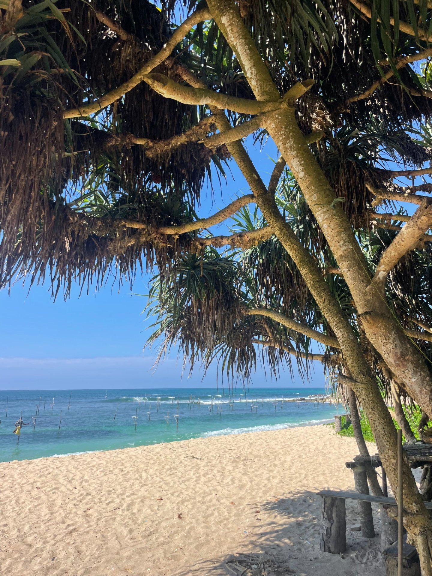 Local Beach View: Walk or ride - Ko Lake Villa boutique lakefront accommodation on Koggala Lake Sri Lanka: Experience serene beauty of a Sri Lankan beach with traditional stilt fishing and lush pandanus trees. Perfect tropical escape.