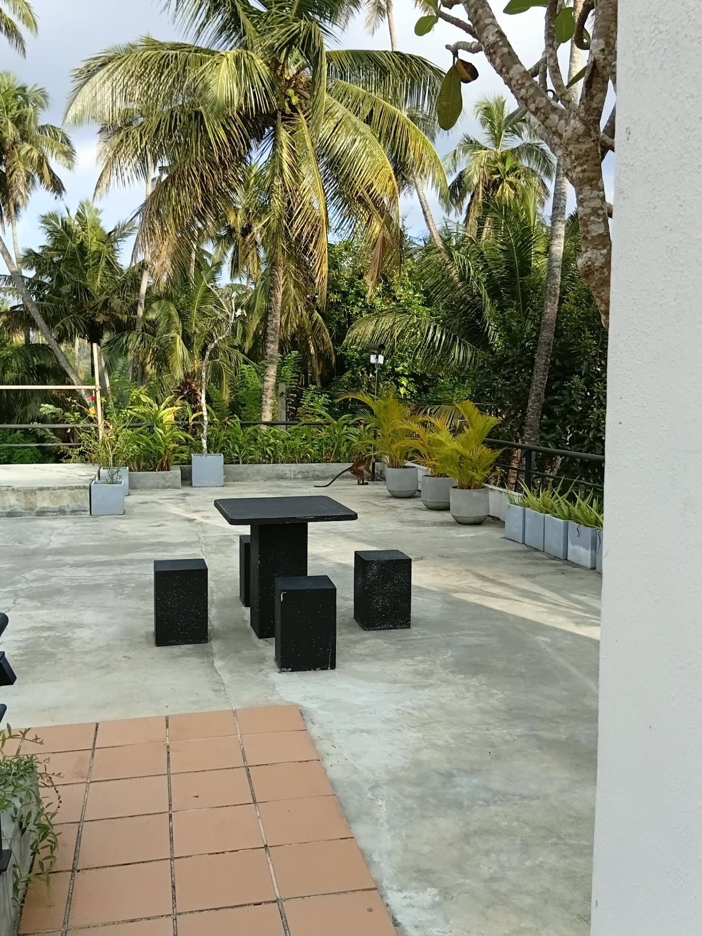 A spacious outdoor terrace with a black table and stools, surrounded by potted plants and lush palm trees at Ko Lake Villa in Sri Lanka.