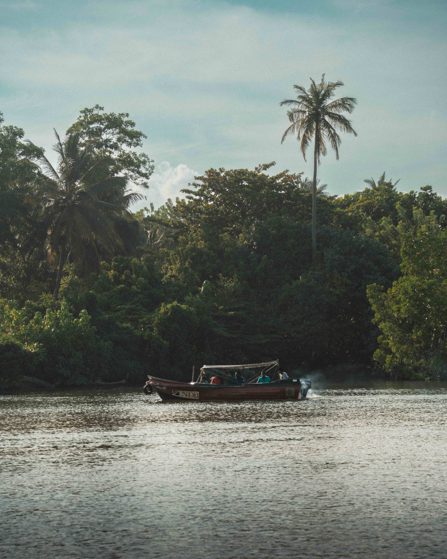 Jungle Mangrove Lake Boat Ride: Tropical Lake Escape - Ko Lake Villa boutique lakefront accommodation on Koggala Lake Sri Lanka: Experience a serene boat ride on a lush jungle river, surrounded by vibrant green foliage and towering palm trees under a calm sky.