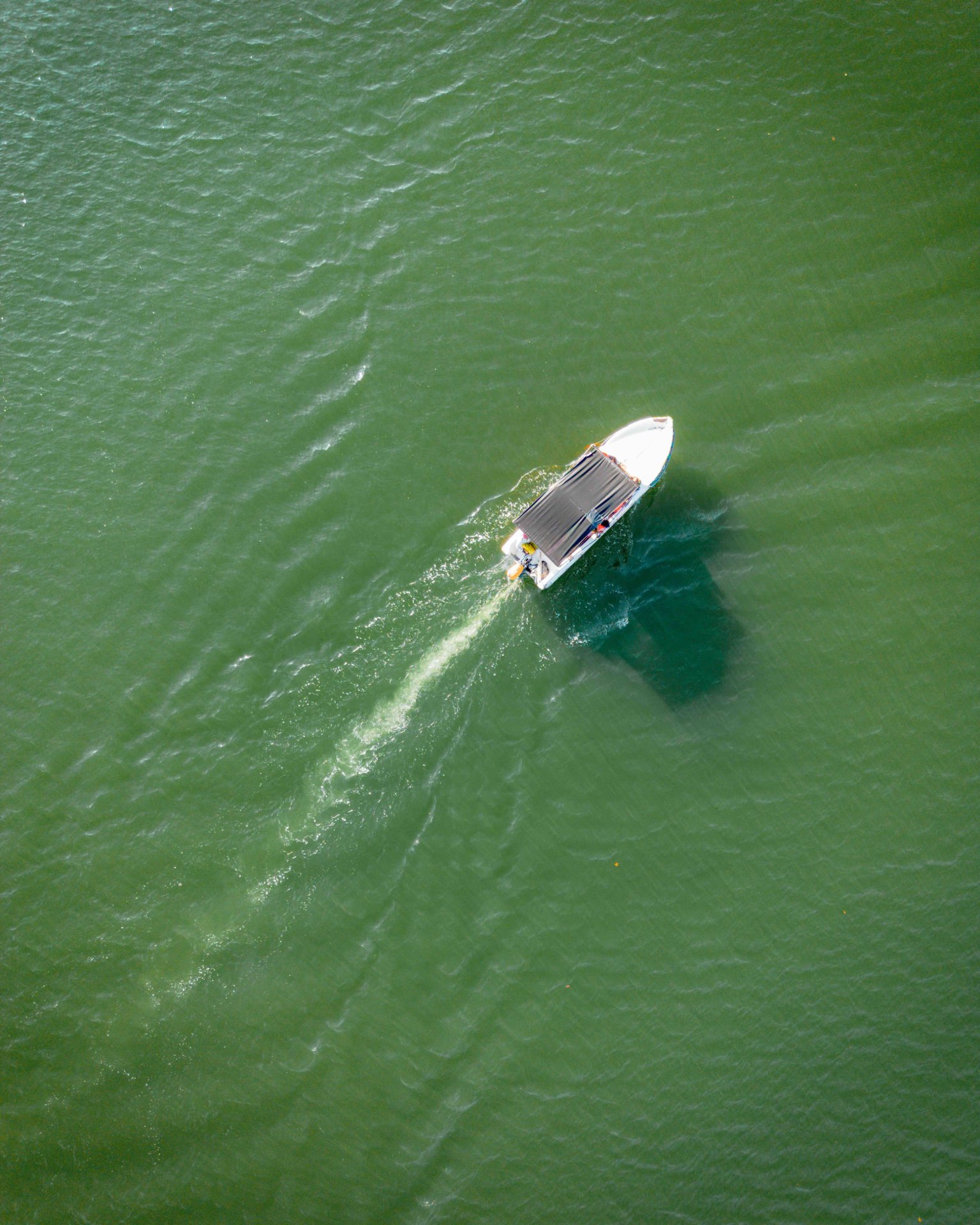 Boat on Koggala Green Water - Ko Lake Villa boutique lakefront accommodation on Koggala Lake Sri Lanka: Motorboat, used for fishing, ferrying tourist and sometime resident across the lake Perfect for lake safare, fishing charter or boating seeingg the rich and famous' villas